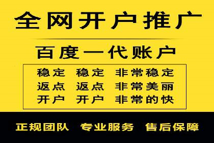 百度SEM推广策略：成功案例解析